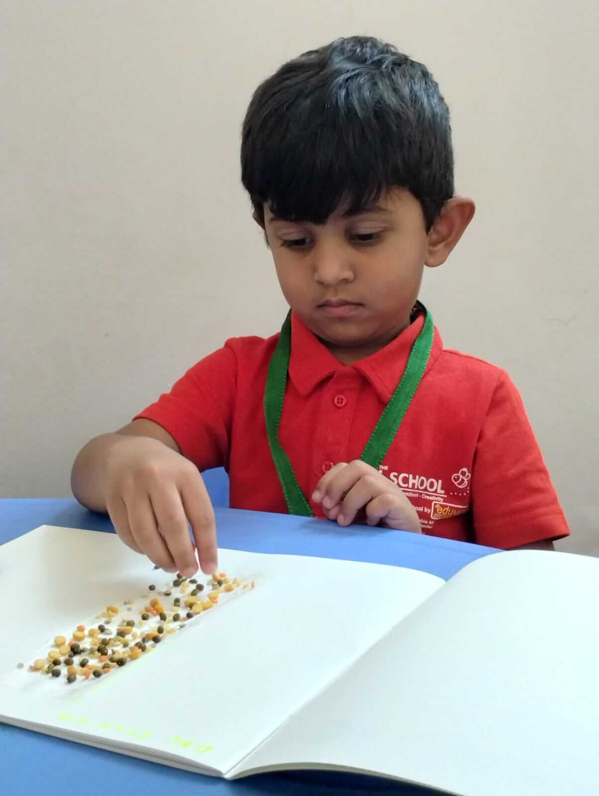 Play School  Malwa County Indore